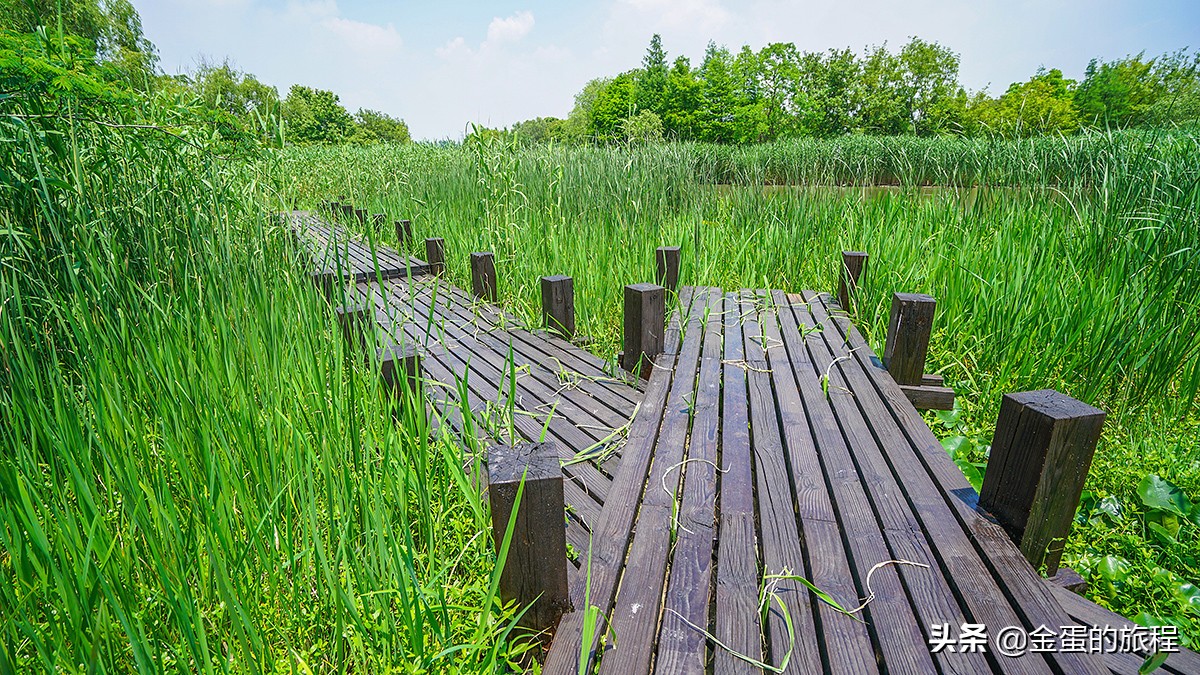 苏州旅游沙家浜,人人都知江南好下一句