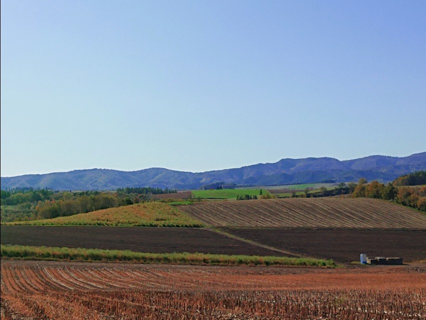 北海道登别到美瑛町需多久,日本北海道美瑛川的雪景