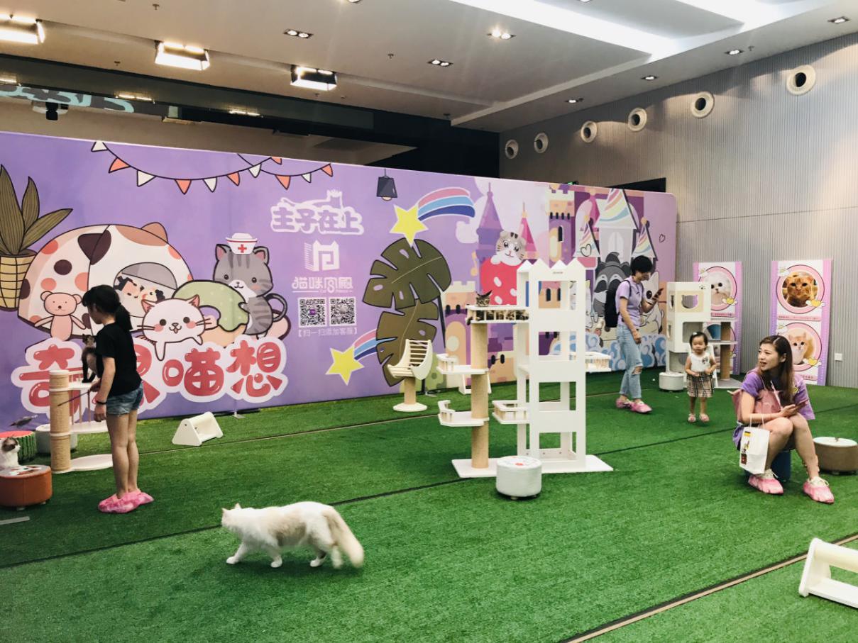 宠爱嘉年华平阳,宠爱嘉年华完整版