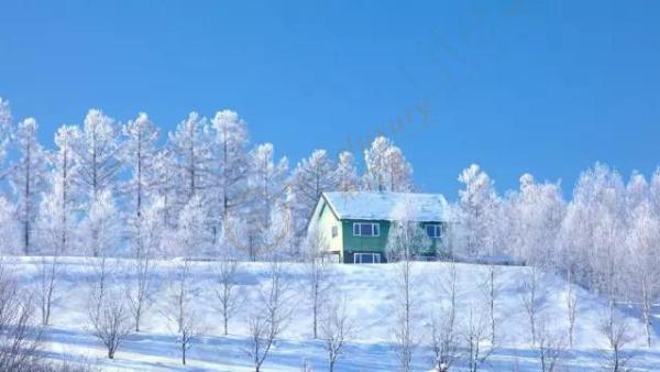 北海道旅游一周费用多少,北海道自由行费用明细