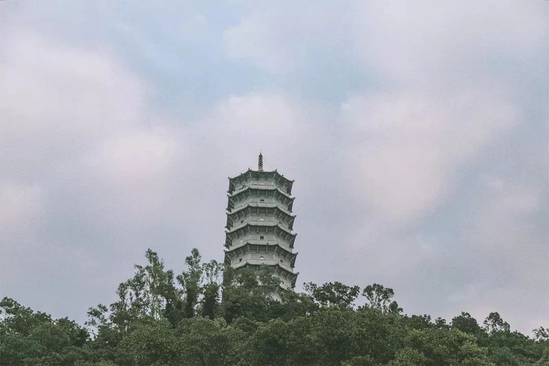 深圳龙华适合小孩子玩的免费景点,深圳适合一日游好玩的地方推荐