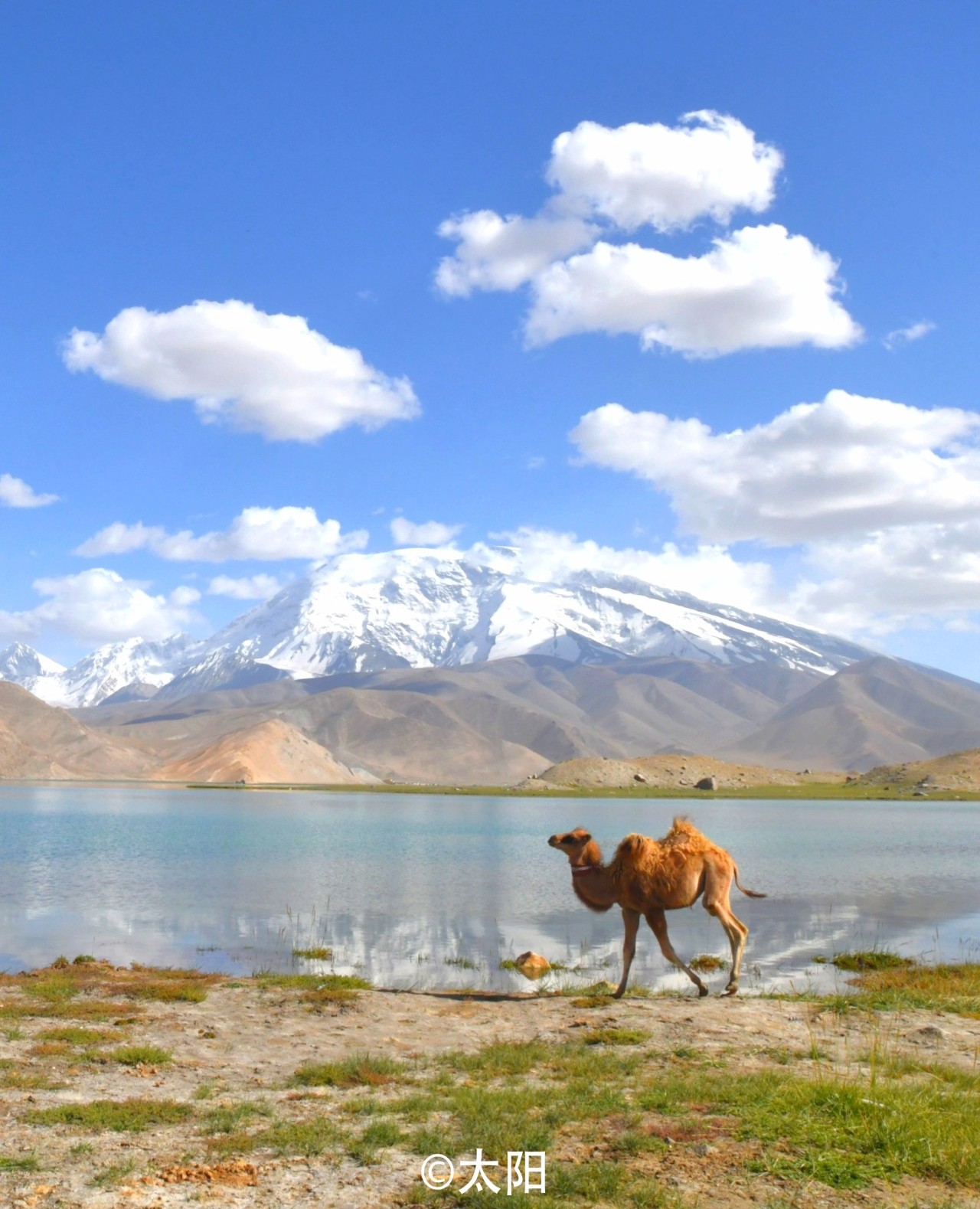 自驾游改装房车四驱可以吗,房车自驾游遇到自改房车