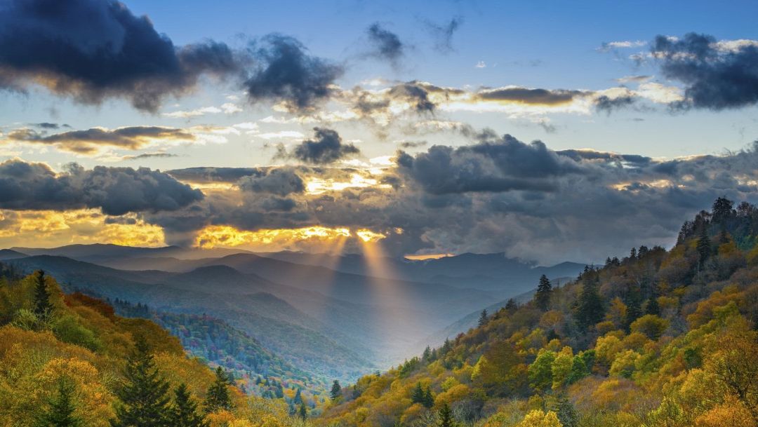 躁郁症遇到躁郁症怎么办,躁郁症犯了怎么熬过去