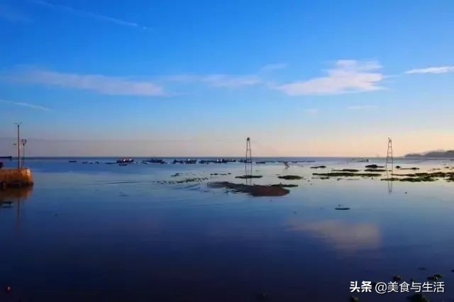 大连海鲜最便宜市场,大连海鲜最便宜的市场
