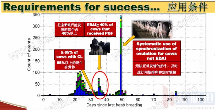 康奈尔大学干细胞研究,康奈尔大学科研