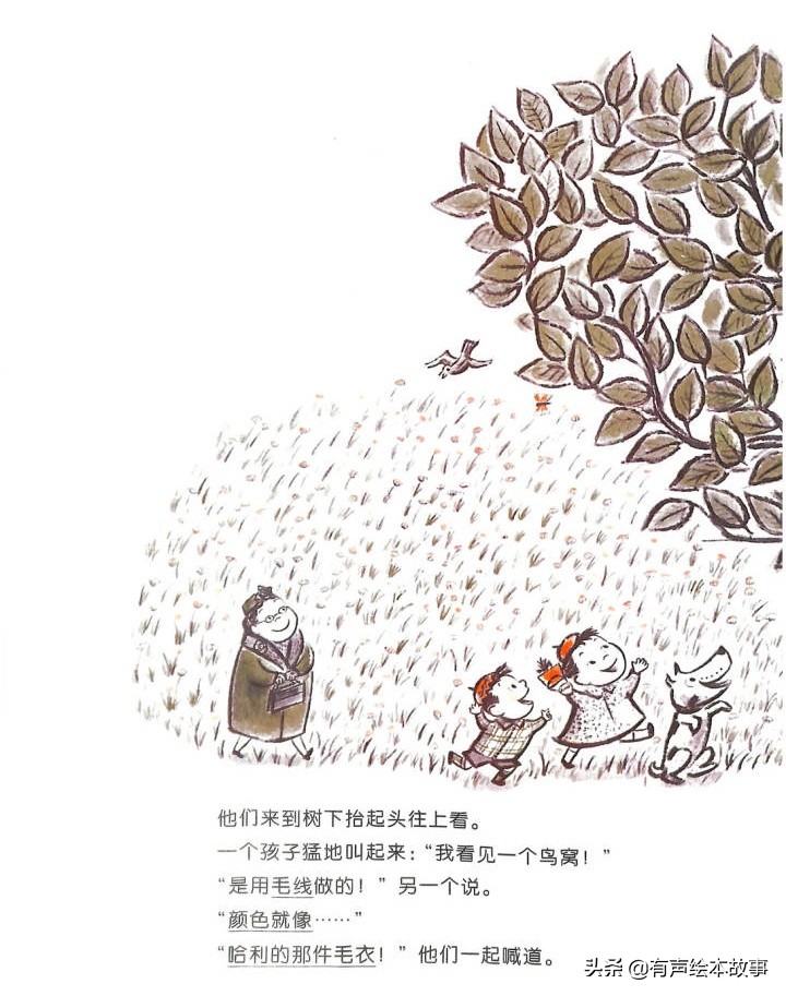 儿童故事哈利的花毛衣,哈利不可以有声绘本故事