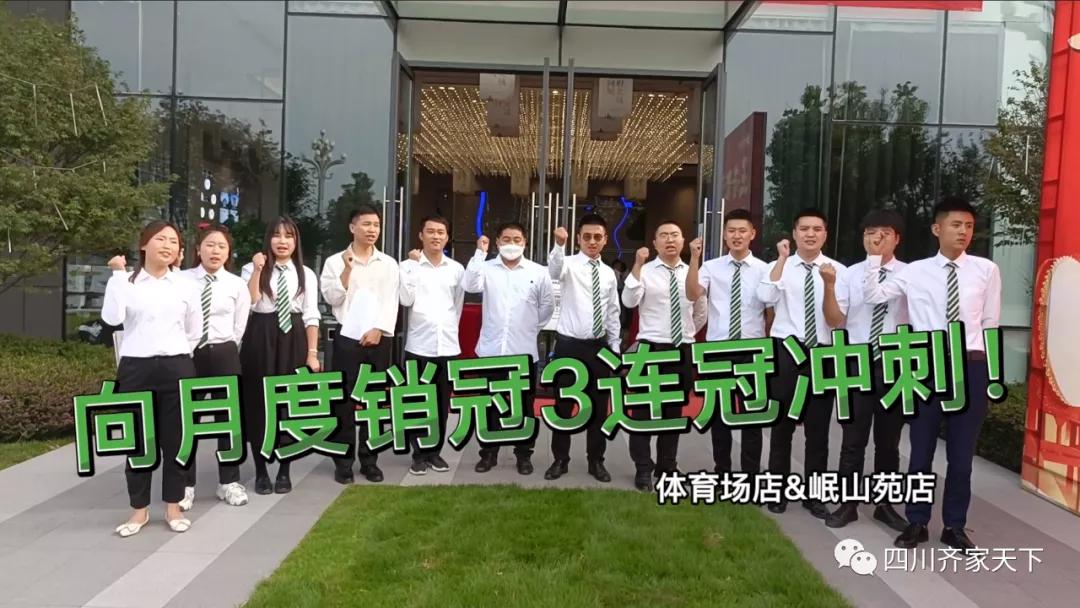 蝉联优秀销售,蝉联销冠