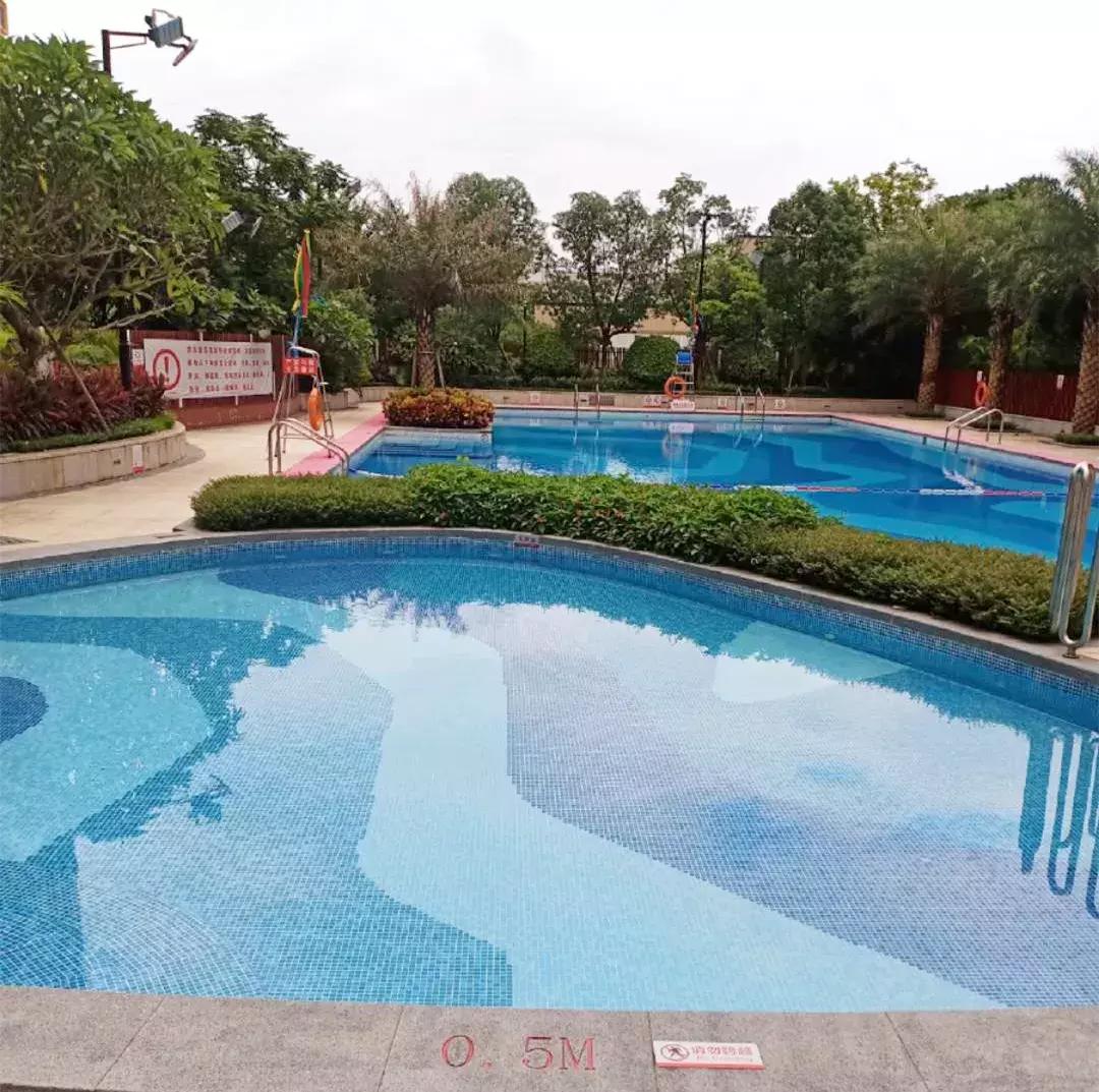 广州十大游泳池,黄埔游泳池有哪些