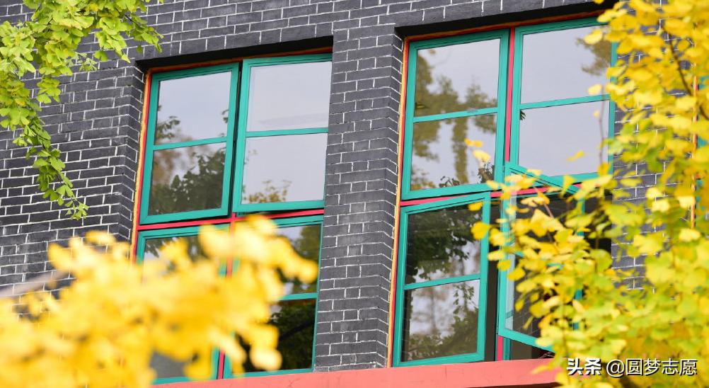 四川大学口腔医学在川2023录取线,四川大学口腔系多少分