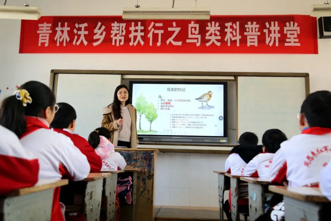 施河镇中心小学,施河中心小学