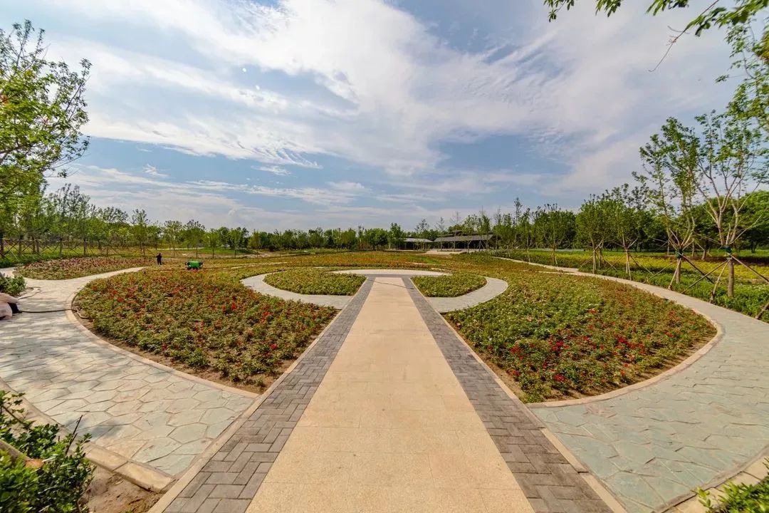 附近免费景点踏青网红打卡地,北京周边的四季花海