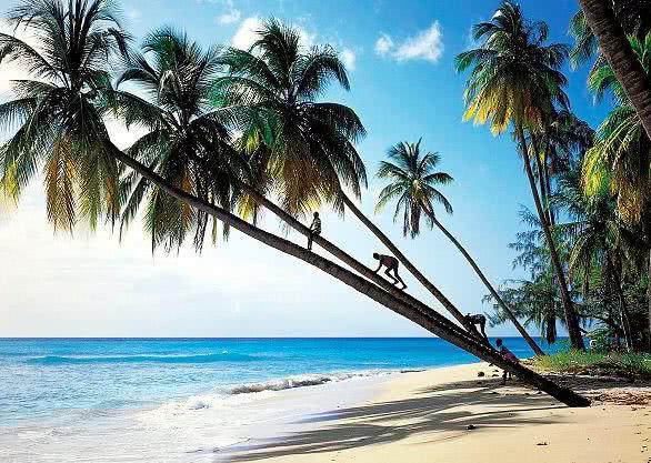 去三亚旅游大概要多少钱一星期,三亚旅游一星期多少钱