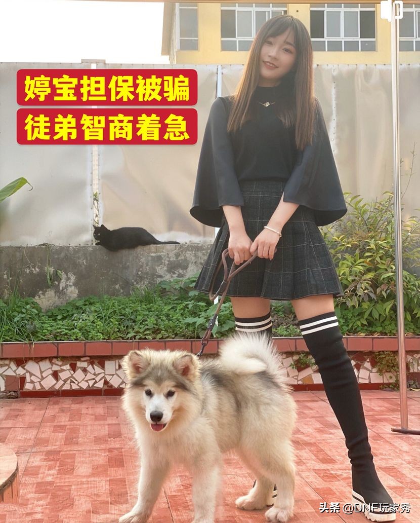 DNF:神探旭旭宝宝!查办“17W大*子骗**”,抽丝剥茧寻找真相