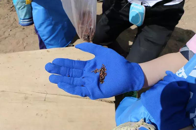 【益西户外营地教育】金川第六小学野狐湾自然研学营圆满结束！