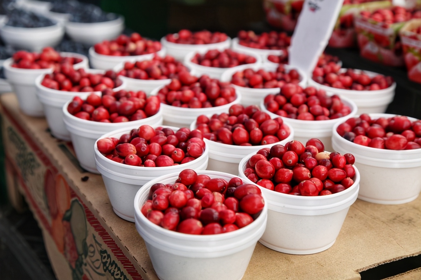 「怀念系列」加拿大（5）｜品尝奥巴马同款枫叶糖