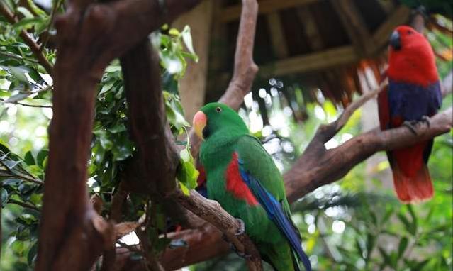 广州长隆四天三晚旅游推荐,4天去广州长隆和珠海看海怎么玩