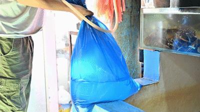 秦皇岛海浪花天桥海鲜批发市场,秦皇岛海浪花批发市场在哪