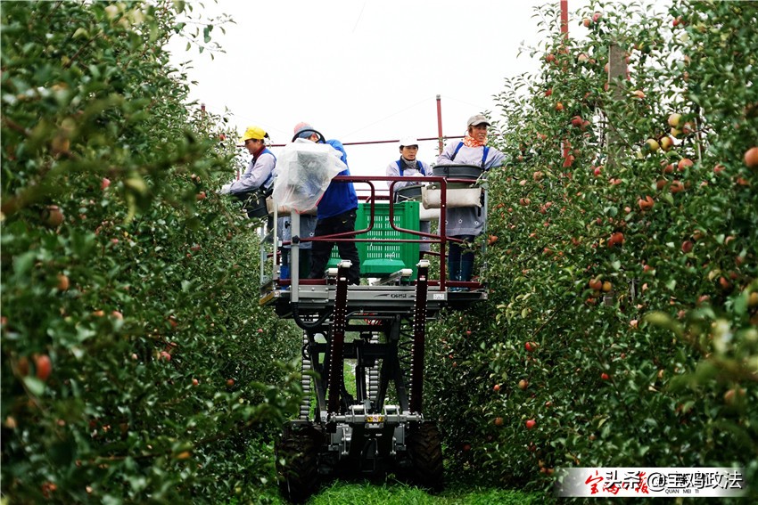 宝鸡县域经济高质量发展论坛,宝鸡市各县2019经济状况