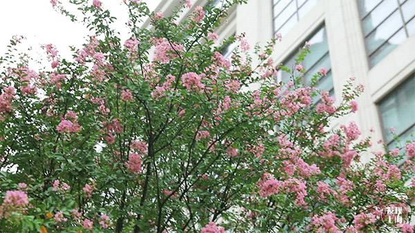 惊艳整个上海,惊艳这条街