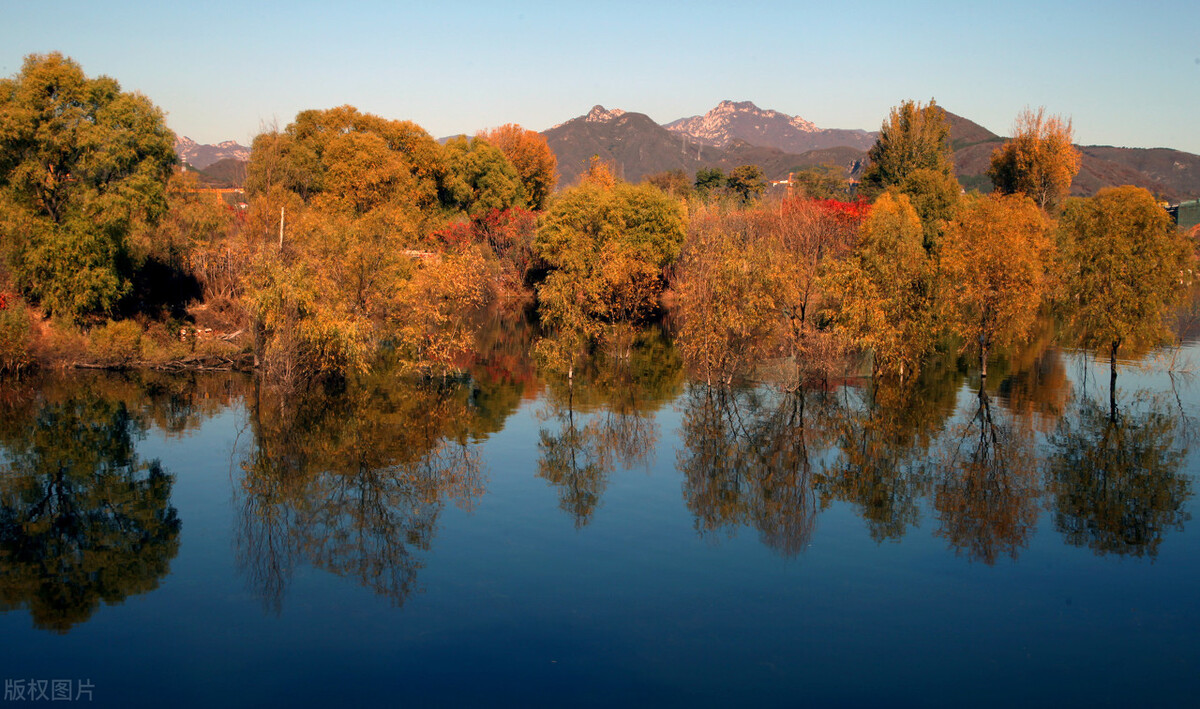 写出好诗的六大要素,如何写好诗的方法和技巧