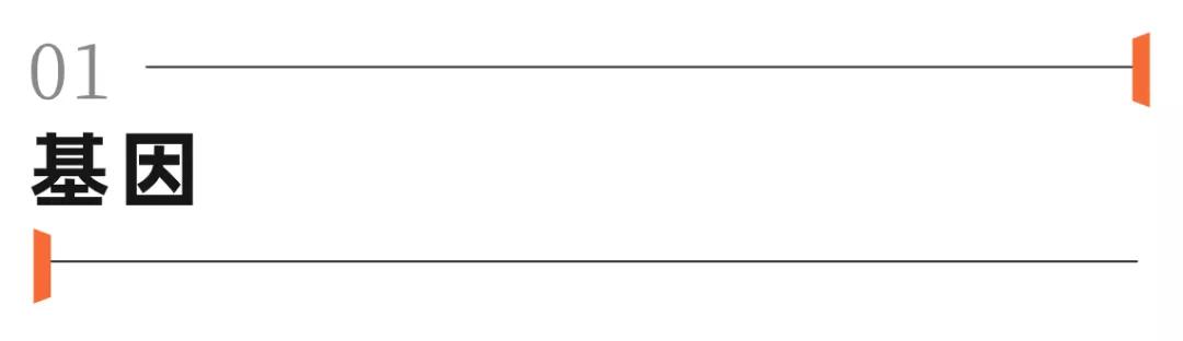 topcashback为什么要返现,topcashback靠谱么