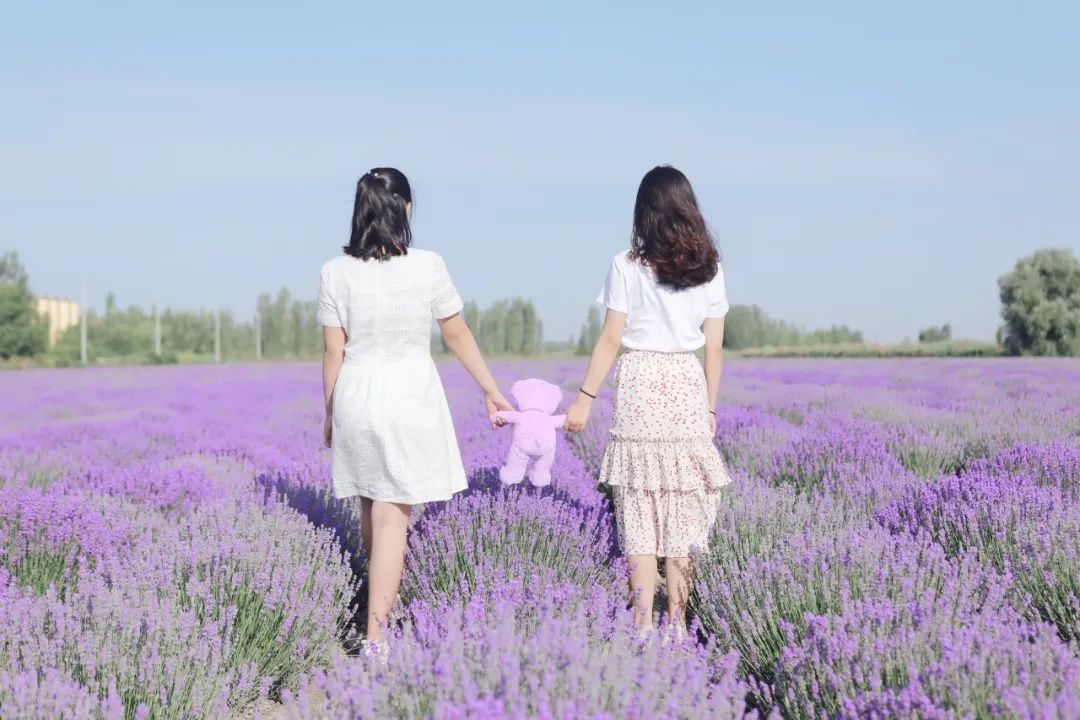 干净的圈子规律的生活简单的情感,往后余生只喜欢干净舒适的圈子