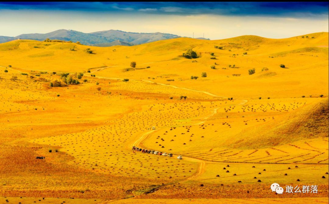 内蒙古旅游吃蒙餐,内蒙古蒙古传统美食