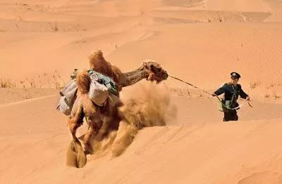 中国邮政特别慢吗,中国邮政快递为什么那么慢