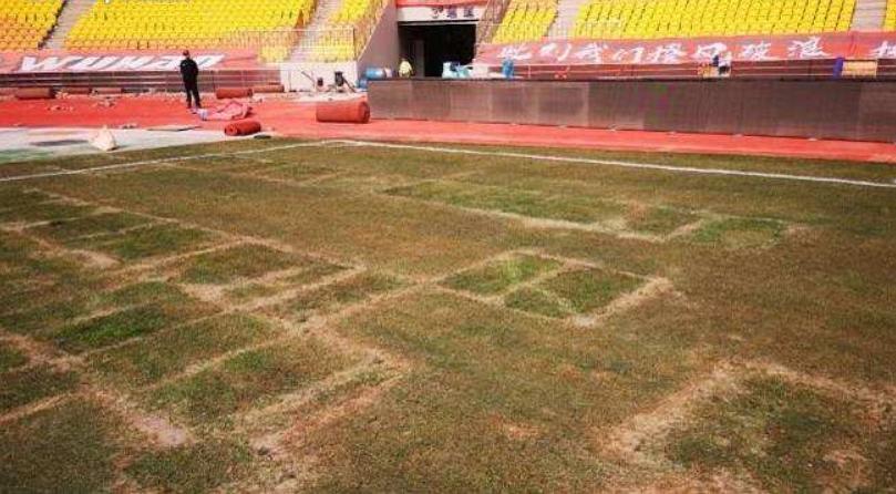 中超草皮出问题了怎么办,中超足球场怎么看风波