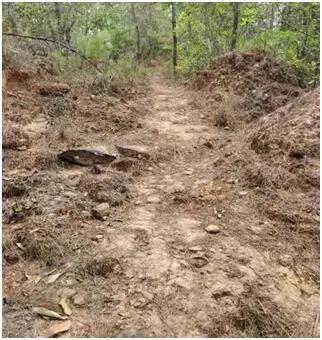 茶马古道马蹄坑,茶马古道篇