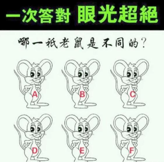 喜欢很久的小哥哥,喜欢了很久的小哥哥