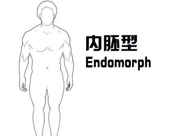 内胚中胚外胚怎么区别,外胚中胚内胚哪个好看