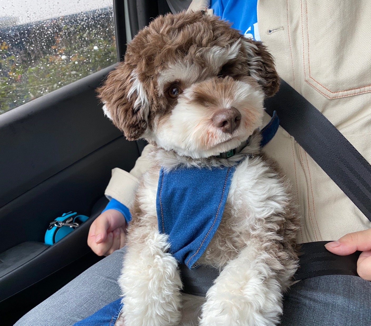 成都旧钟表市场,成都最老钟表店