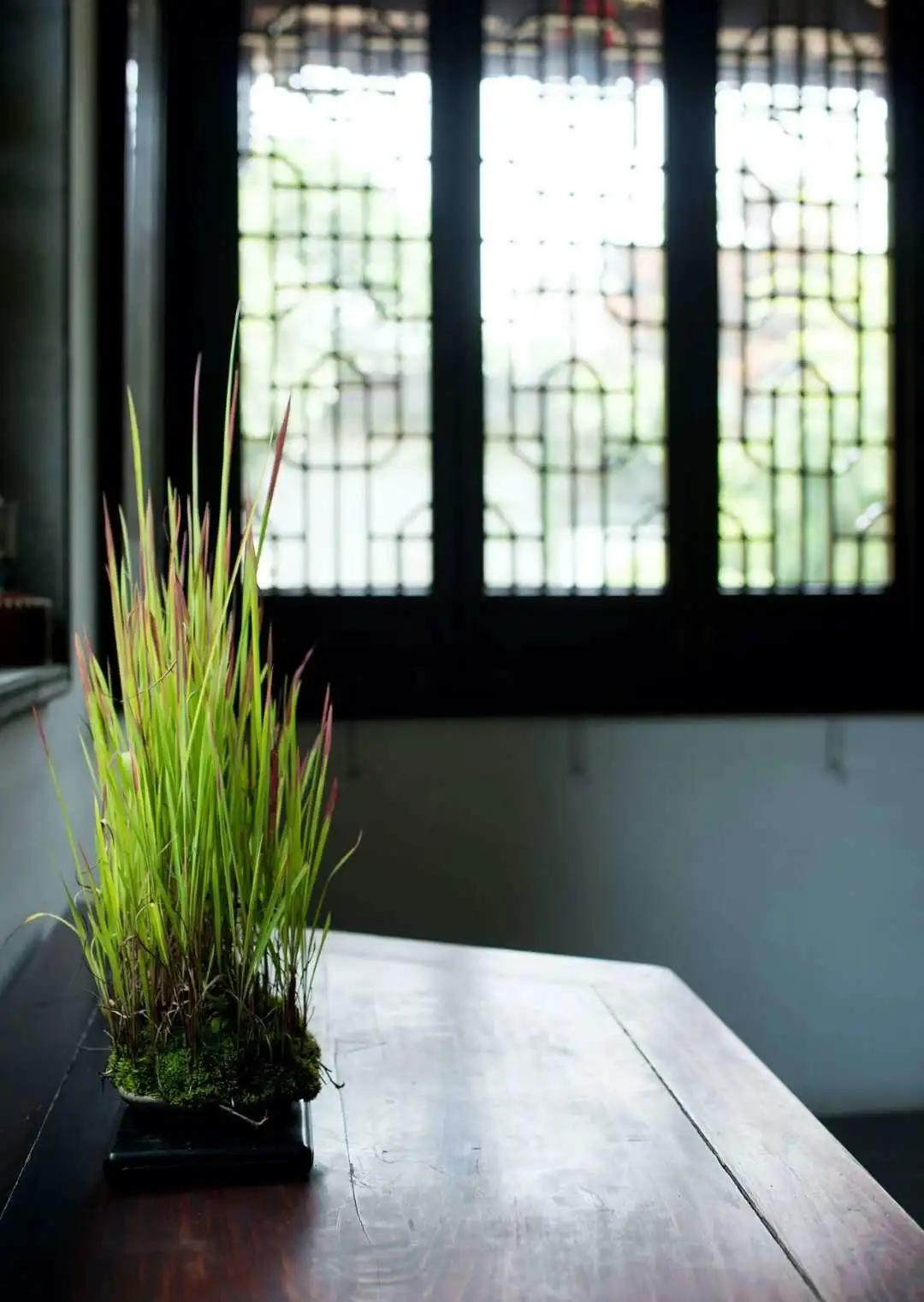 人生四种境界素书,素书人生智慧与处世之道