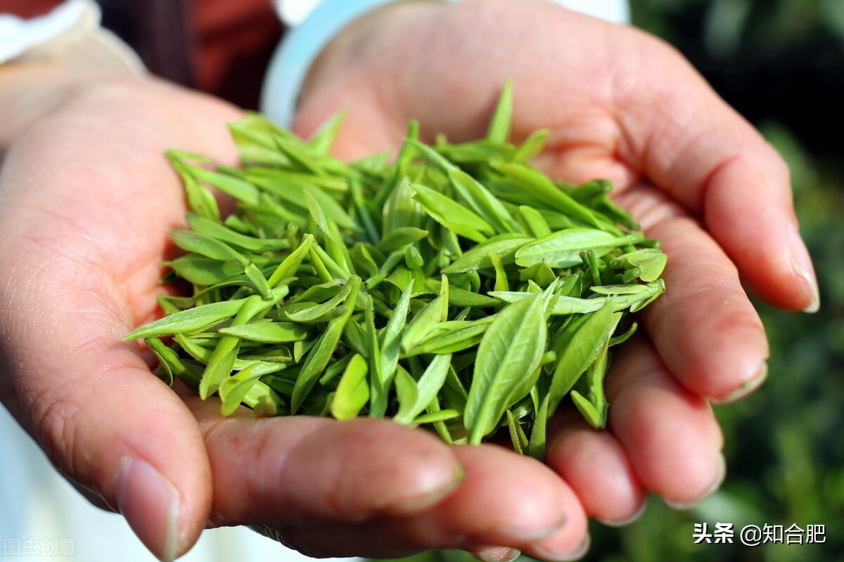 中国十大名茶在安徽的是哪三种,中国十大名茶安徽占五个