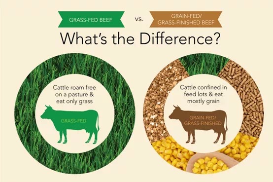 聪尔壮奶粉介绍视频,聪尔壮菁粹奶粉好吗