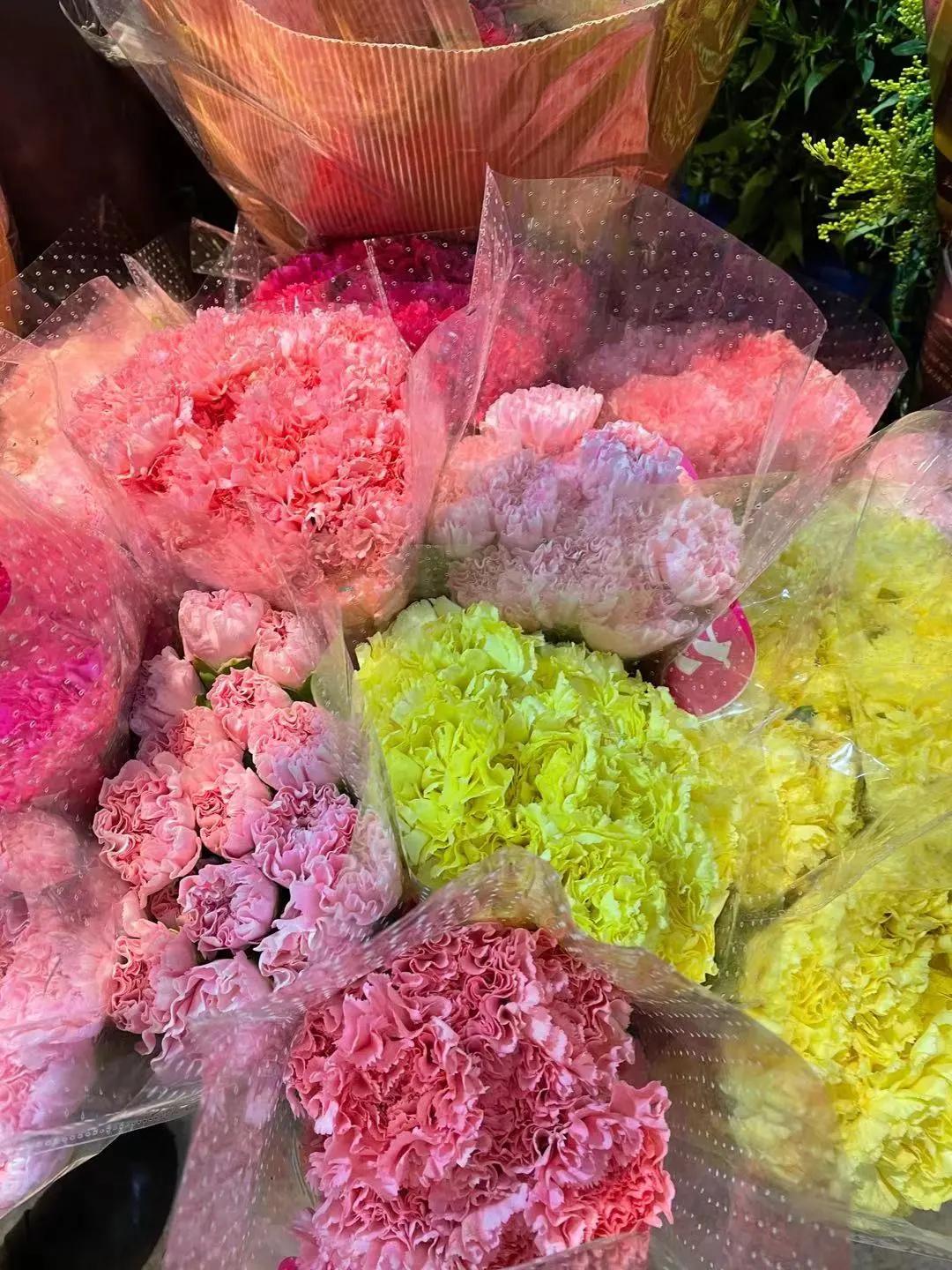 实拍青岛花卉市场！你每年都会选购哪些品种的年宵花呢？