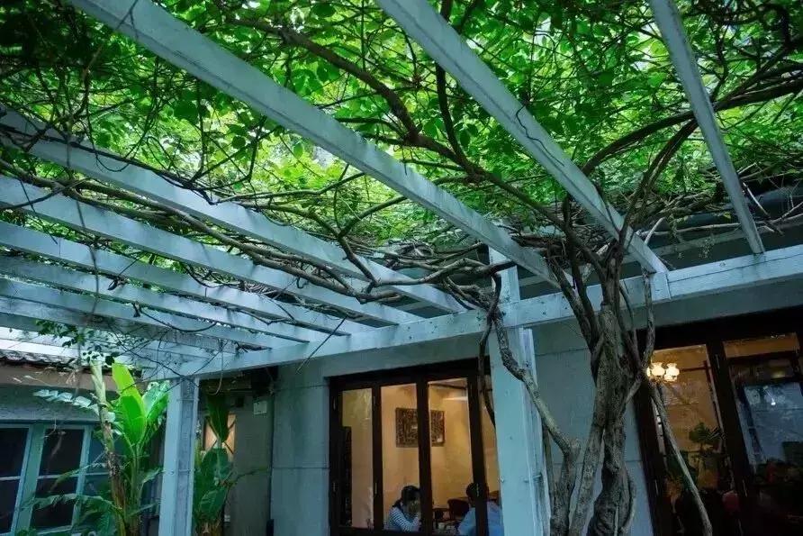 茶馆喝茶休闲场所推荐,最有茶意的茶馆