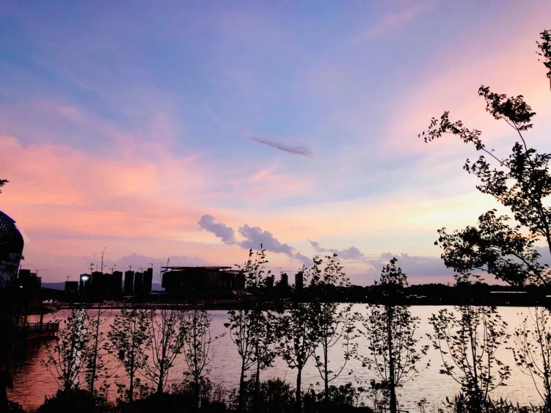 南康文学2017,南康文学第11期