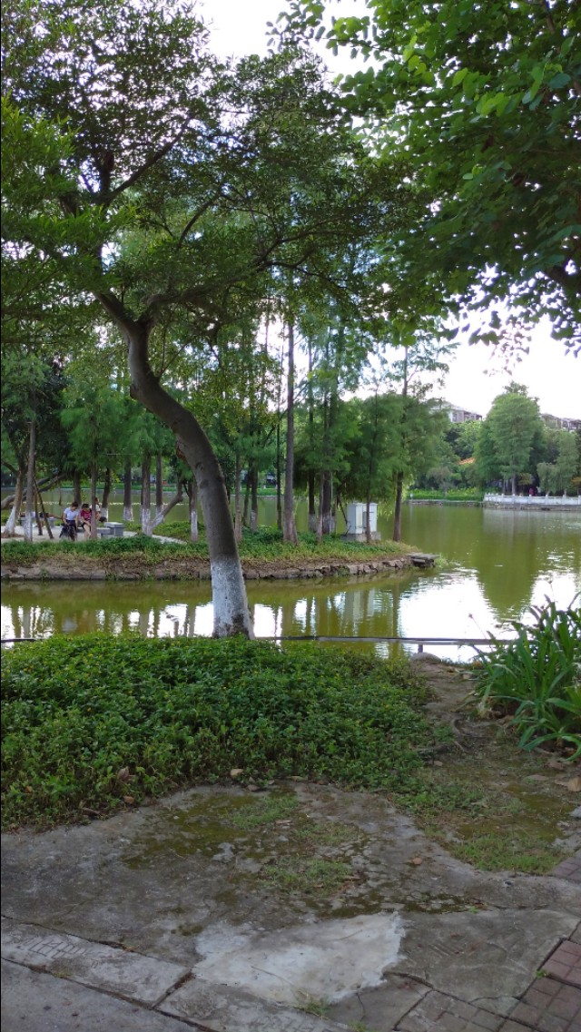 逸仙湖公园在哪,中山中心逸仙湖公园