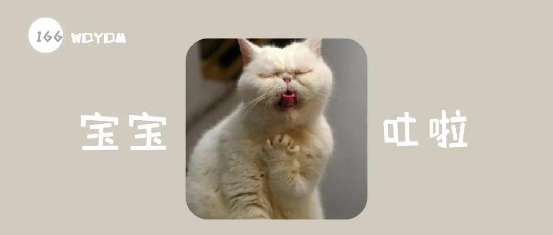 猫咪呕吐的原因及治疗办法有哪些,猫咪呕吐糊状猫粮怎么办