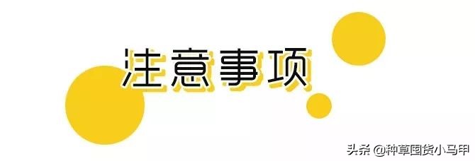 怎样才能看出来代购是真是假,警惕虚假代购骗局