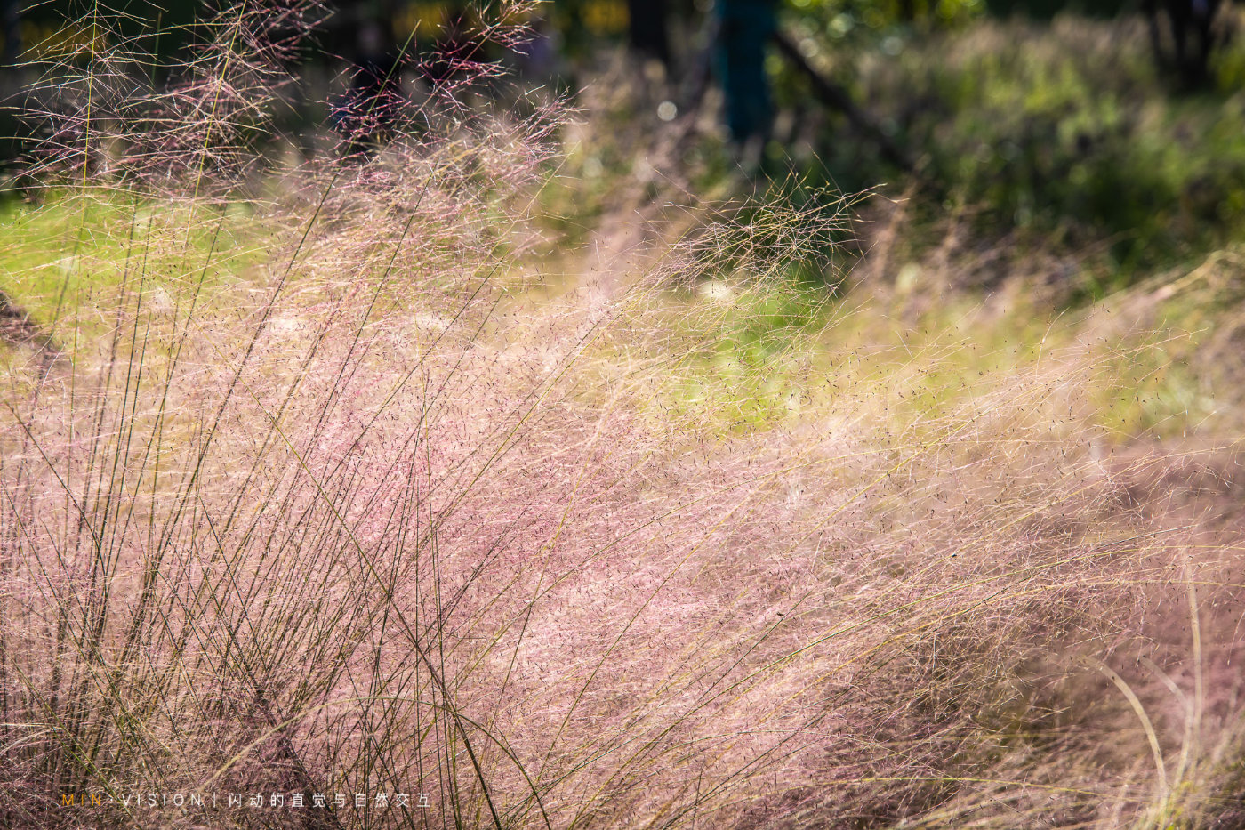 来成都旅游这份攻略实用又好吃,来成都必去必吃的地方