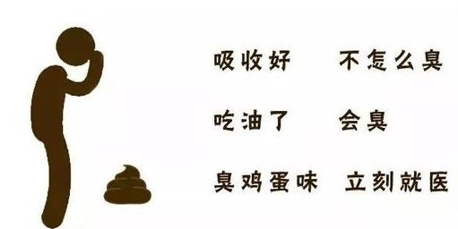 狗狗健康指数监测,如何从狗狗粪便判断狗狗是否健康