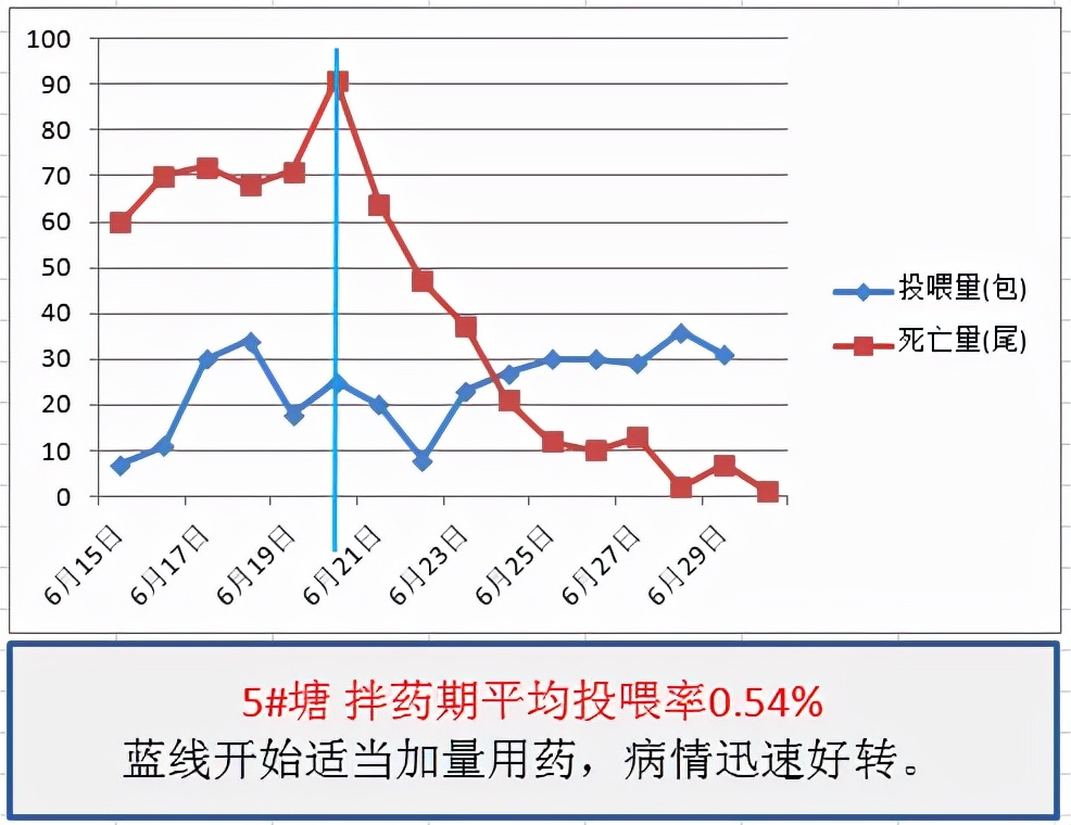 鱼得了肠炎还能活多久,生鱼烂身治疗