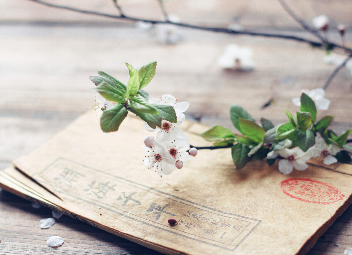 人到中年沉默寡言,人到中年沉默寡言的意思