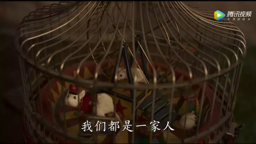 谁喜欢小飞象,谁还记得以前的小飞象