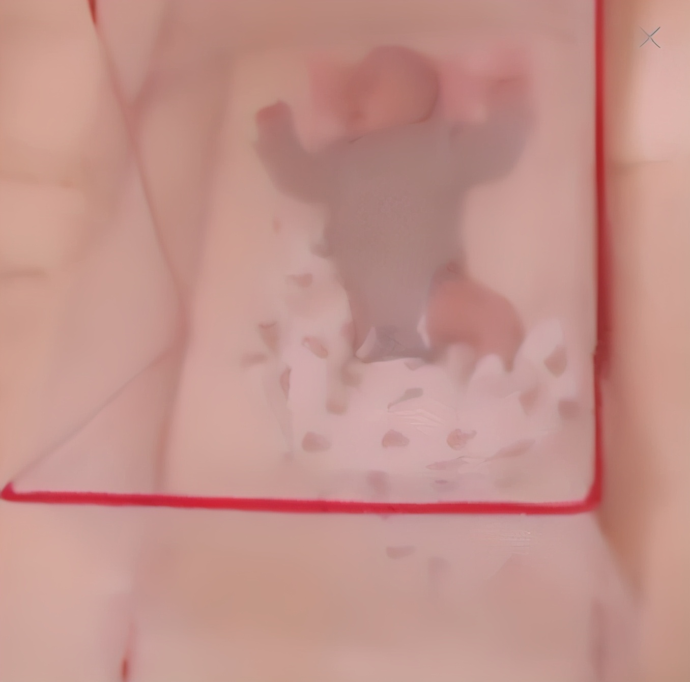 蚊子咬了宝宝能涂花露水吗,蚊子咬了宝宝的手可以涂花露水吗