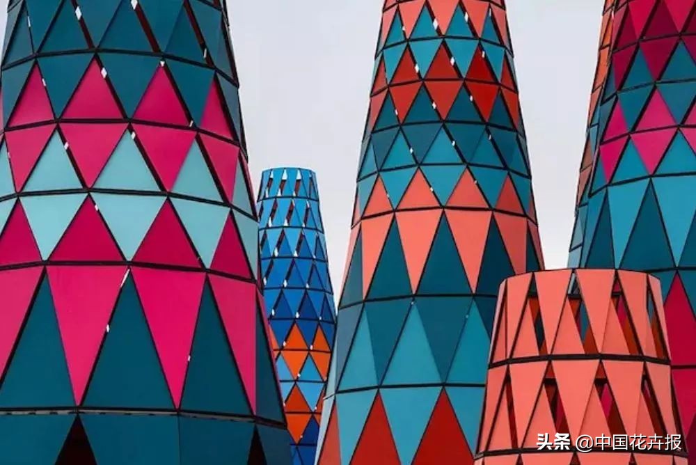 从小就觉得面包树上结的是“面包”？你只差一个亲眼看看的机会