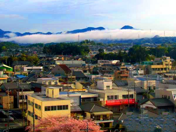 日本埼玉浦和,日本女团琦玉体育馆